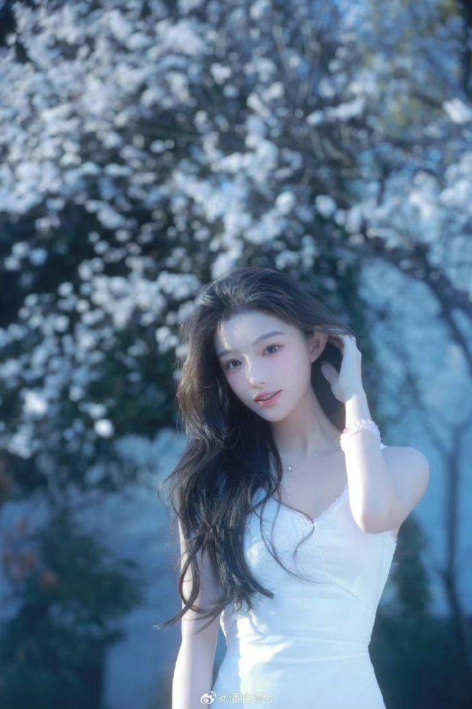 我的天才女友